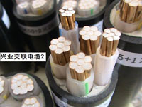 �d�I����|